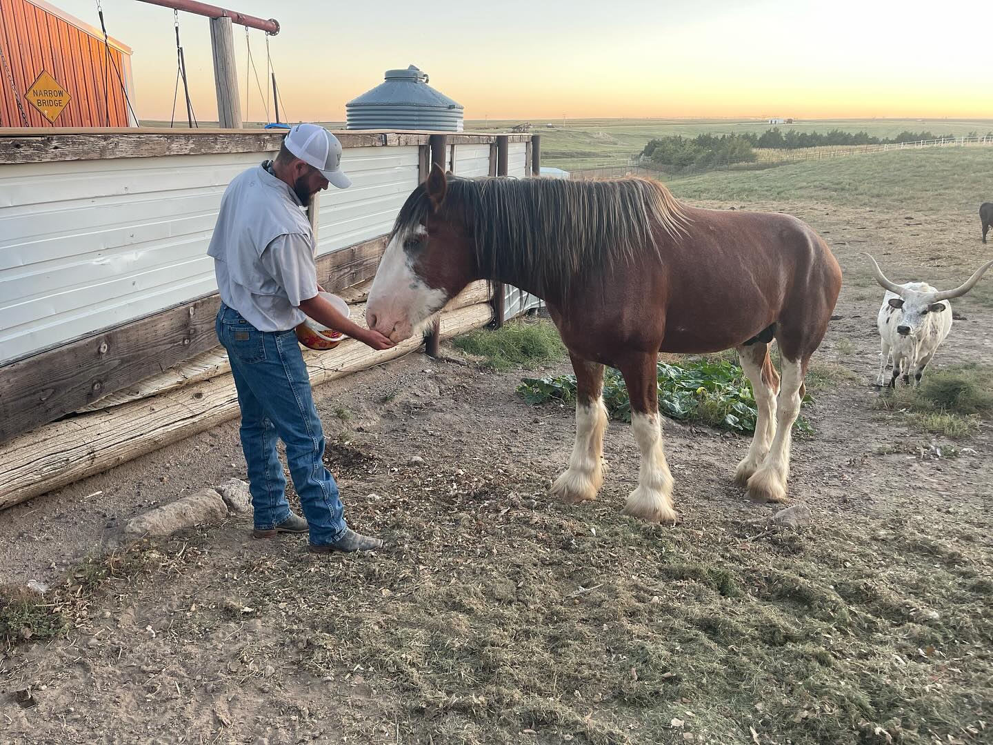 Horse at Jack Creek