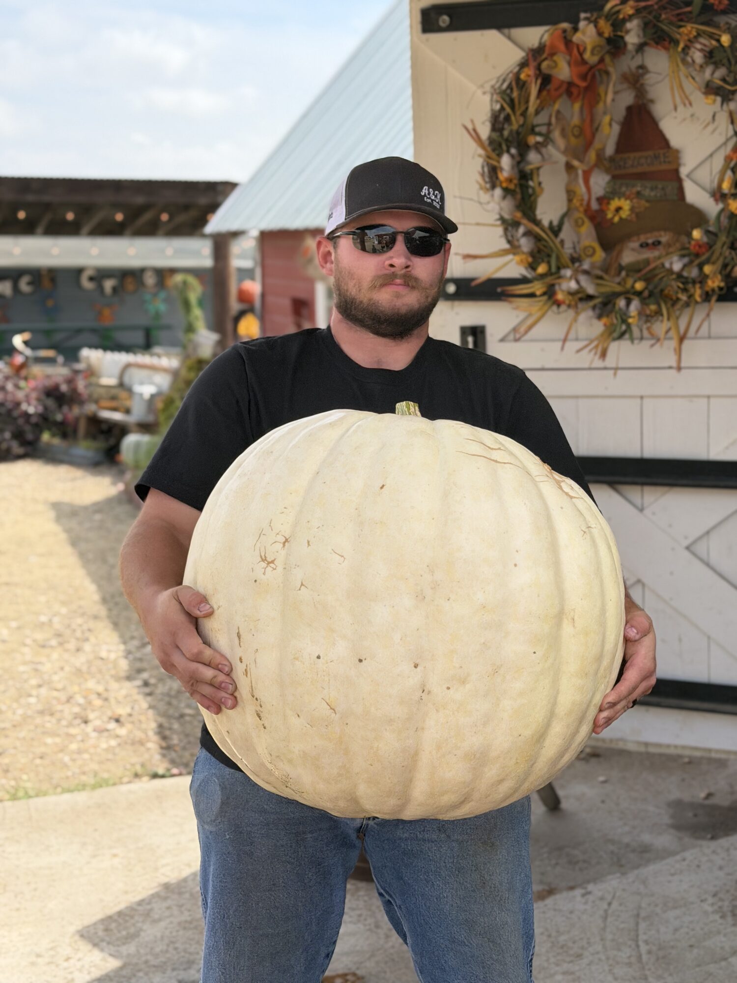 Pumpkin Patch