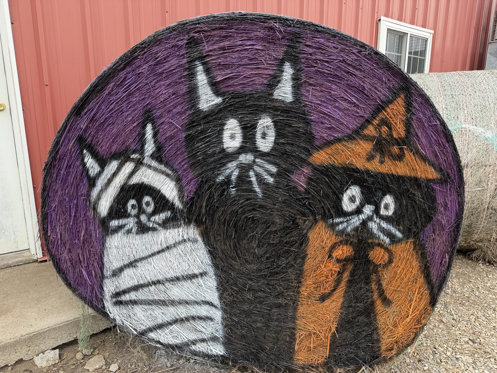Jack Creek Pumpkin Patch